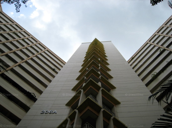 Blk 206A Compassvale Lane (Sengkang), HDB 5 Rooms #313802